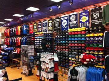 Request Product/ Services: Request Expertise: Developing Franchise for a Growing Sport Chain