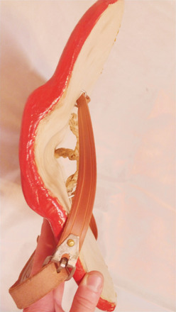 Schongauer Paveses