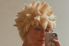 Selling with online payment: Styled Bakugou Wig