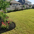 Request a quote: Cesar's Lawn & Landscaping In Katy, TX!