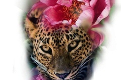 Tattoo design: Leopard design 