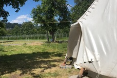 Vermieten und mieten/ Barzahlung: Schlafen im Tipi 