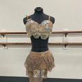 Purchase with online payment: Small Group Contemporary/Lyrical Costumes