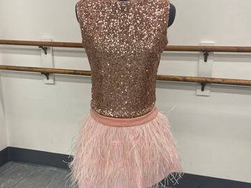 Purchase with online payment: Large Group Musical Theater/Novelty Costume