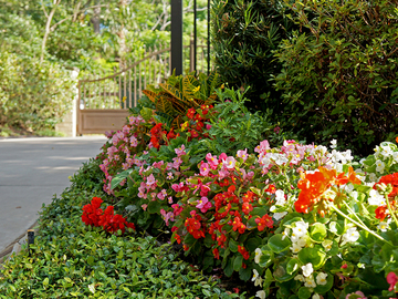 Request a quote: Full Range Services For Exceptional Gardens and Landscapes