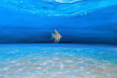 Sell Artworks: Vanguard of the Angels, an under the sea seascape with fish