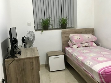 Rooms for rent: Single bedroom for rent