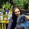 Wellness Session Single: Holistic pet health and supplements with ilyse