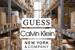 Liquidation/Wholesale Lot: $2,800Jewelry Lot Calvin Klein, Guess & NY & CO -ALL BRAND NEW 