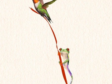 Tattoo design: Hummingbird and Frog Design 