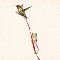 Tattoo design: Hummingbird and Frog Design 