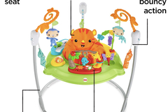 Rent out Monthly: Fisher price jumparoo