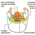 Rent out Monthly: Fisher price jumparoo