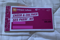 Vente: Chèques Culture UP (300€)
