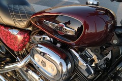De motociclista para motociclista: Harley davidson sportster custom 1200cc 