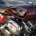 De motociclista para motociclista: Harley davidson sportster custom 1200cc 