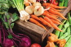Wellness Session Single: The Mind-Gut Connection with Dr. Sasha