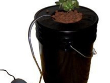  : DWC Starter Kit. 6 inch Net Pot, 5 Gal Bucket