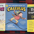 Selling with online payment: Cartoon Guides: Statistics + Calculus, TI-84 for Dummies