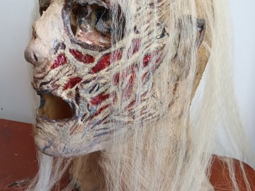Selling with online payment: Zombie/Walker/Whisperer latex mask inspired by The Walking Dead 