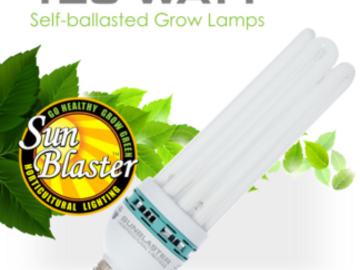 Post Now: Sunblaster 125 Watt CFL