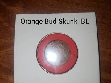 Post Now: Orange Bud Skunk IBL