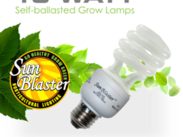 Post Now: Sunblaster 13 Watt CFL