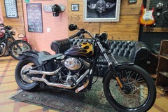 De motociclista para motociclista: Harley Davidson FXS Blackline 2013