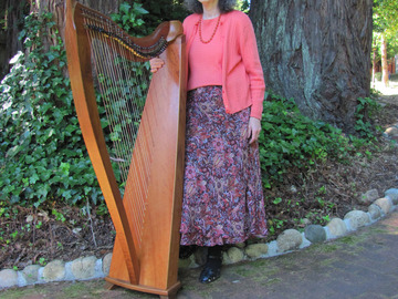 Offering with online payment: PIANO AND HARP LESSONS