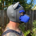 Selling: Mr. S. Neoprene Puppy Hood - Cobalt Blue - Medium