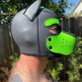 Vente: Mr. S. Neoprene Puppy Hood - Lime - Medium