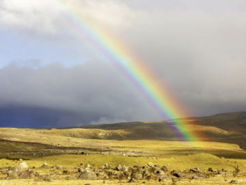 Selling: Is it rainbows or torrential rain?