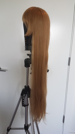 Cyperous Long Wig - Honey Blonde