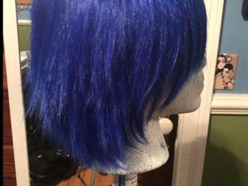 Selling with online payment: Blue wig