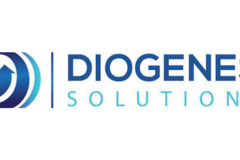 Job:   Personal Assistant до Diogenes Solutions.