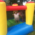 Rent per night (24 hour rental): Small bouncy castle