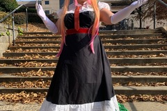 Selling with online payment: tohru wig! 