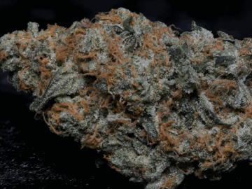 Post Now: Girl Scout Cookies