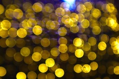 Service: Event Photographer 
