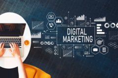 Services (BETA TEST): Digital Marketing 