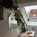 Tausche komfortable Doppelhaushälfte in Berlin Baumschulenweg