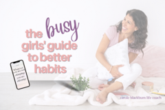 Product: The Busy Girls' Guide to Better Habits
