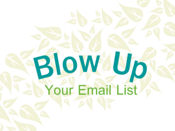 Product: Blow Up Your Email List Course 
