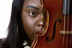 Hourly Services: Private Viola Lessons and Live Performances