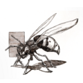 Sell Artworks: Animal portrait - Wasp