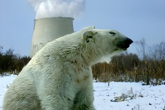 Selling: Nuclear power plant, Forney, Texas