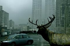 Selling: Abandoned city of Yaozhuang, China