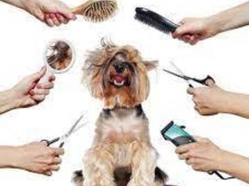 Offering without online payment: Happy Spa Dogs Mobile Grooming Orange County