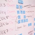 Offering Customised Packages: Customised Solutions For Your Business