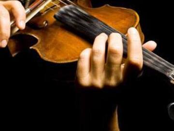 Offering with online payment: Violin tutor